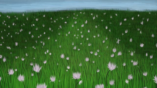 Life Impression 25
