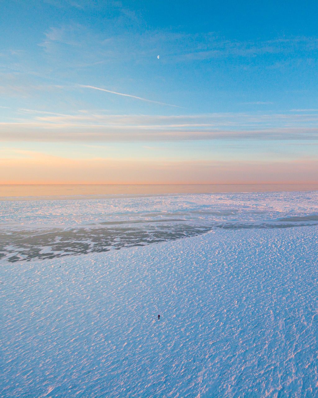 Polar Vortex 