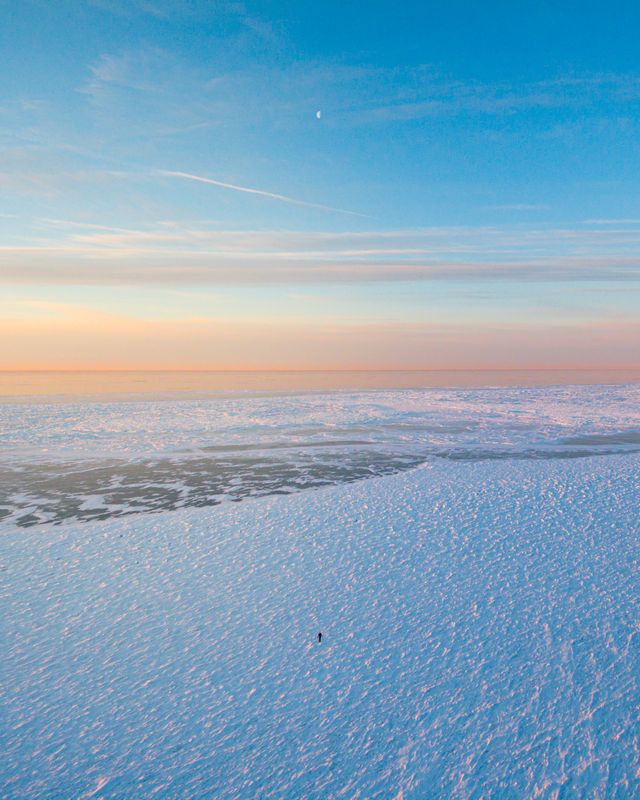 Polar Vortex 
