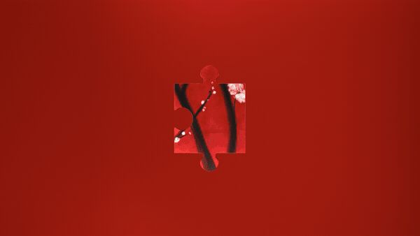 Fragment 21