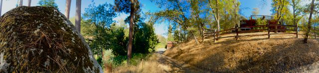 Whispers of Sequoia