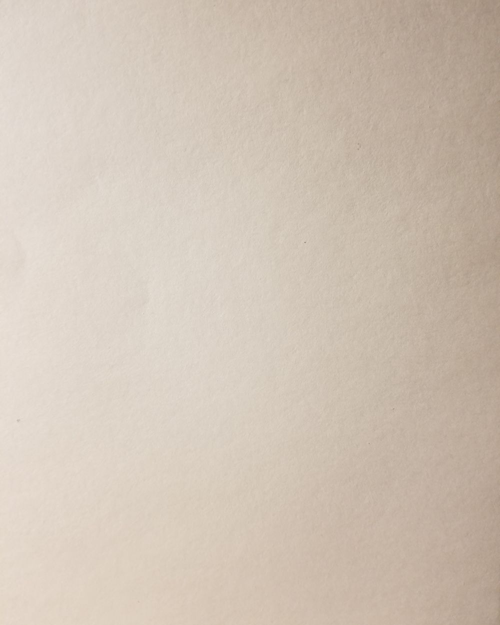 Blank Page