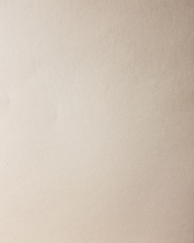 Blank Page