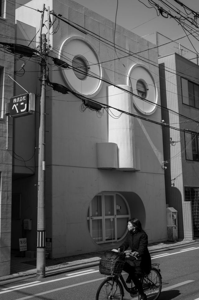 Face House
