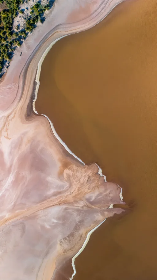 ChocolateMilk