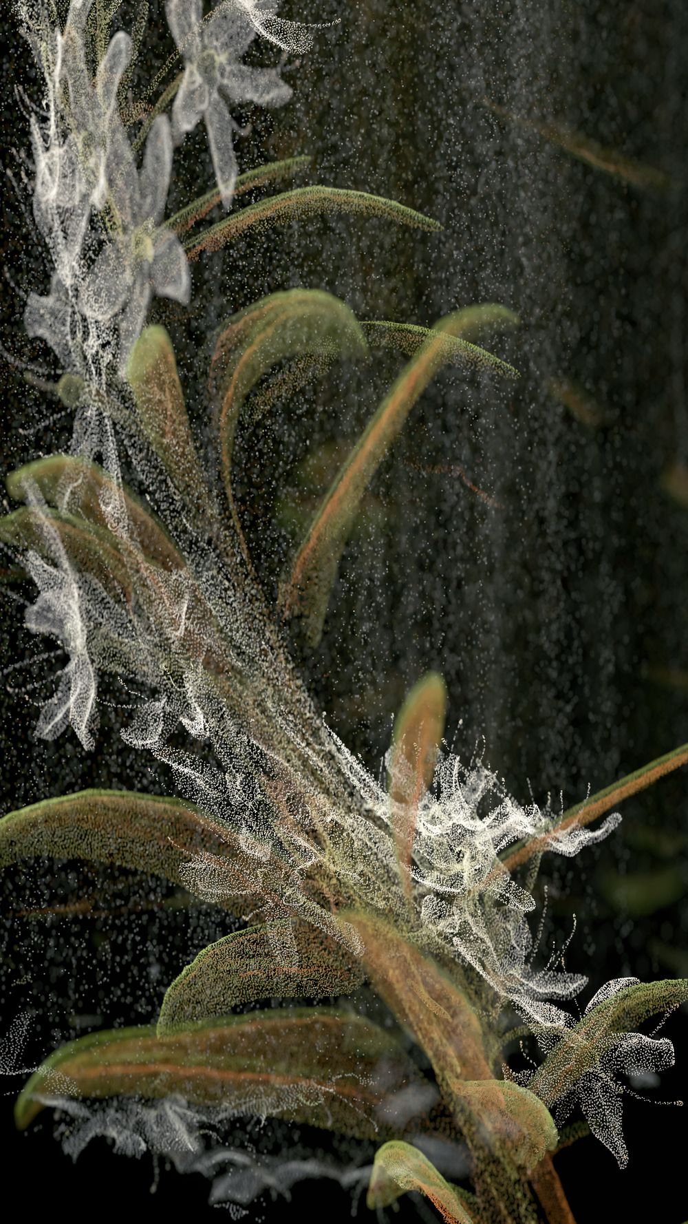 Cloudburst #11
