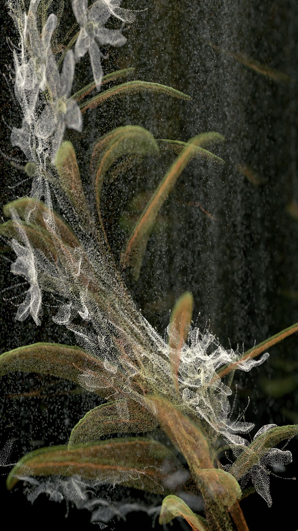 Cloudburst #11