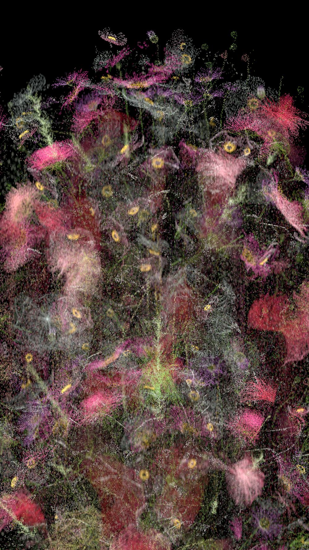 Cloudburst #5