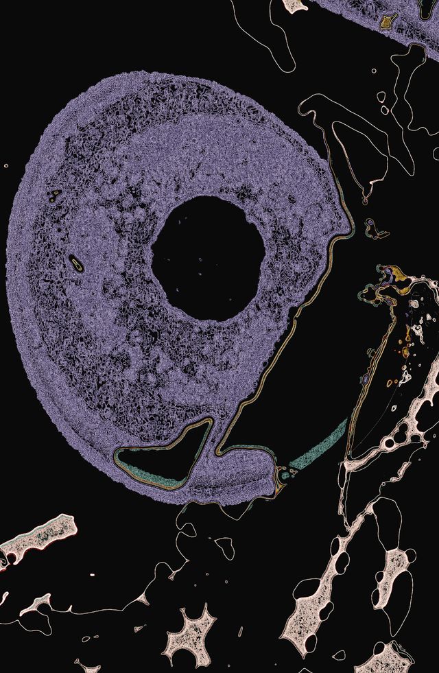 ib11N3lu923Dm