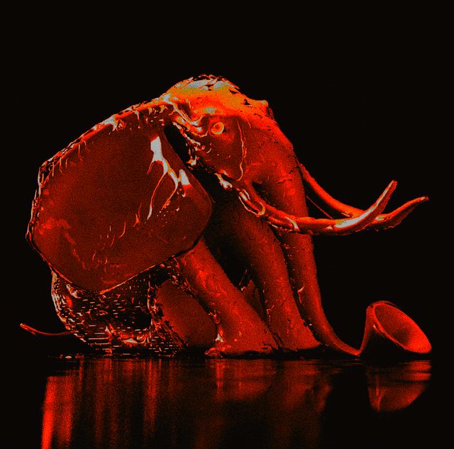 Elephlant (the grand prize)