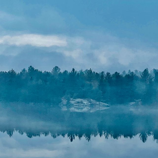Misty Mornings