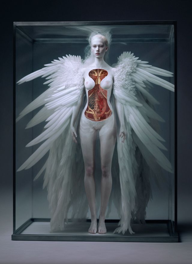 Anatomy of an Angel