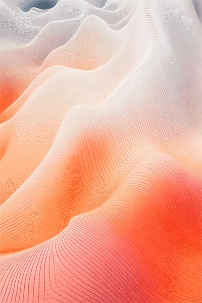 Imagination 298