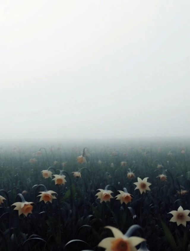 In The Blink Of An Eye