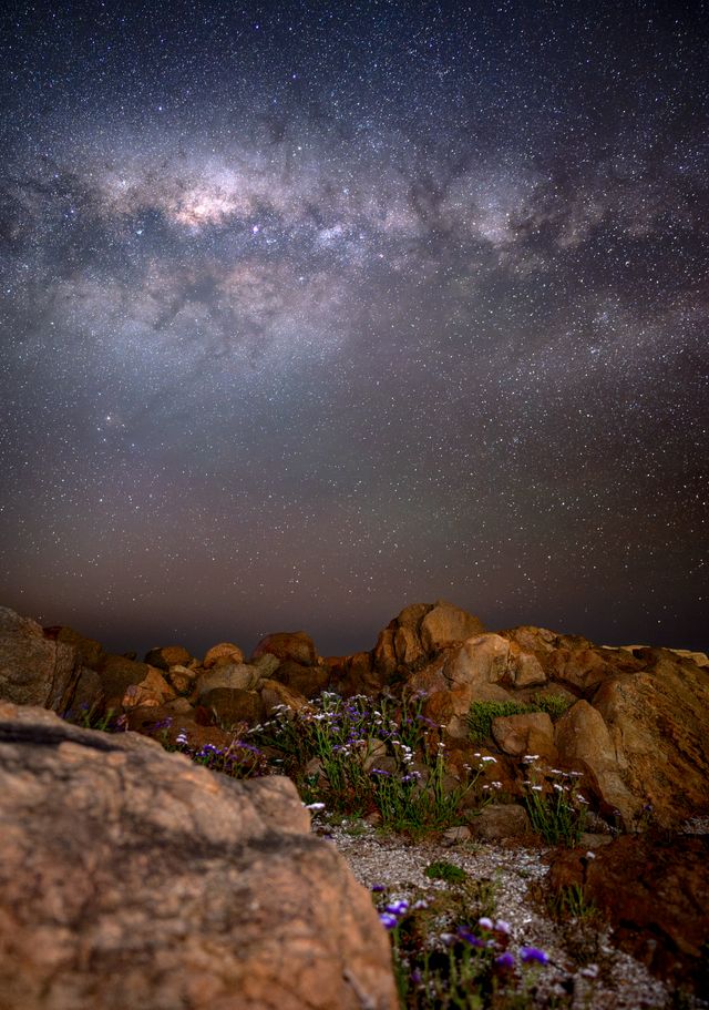 WildStars