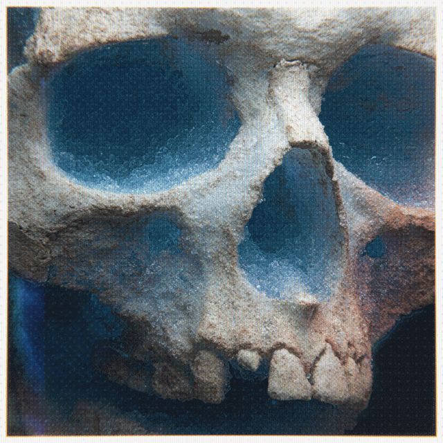 THE TWENTY THIRD SKULL