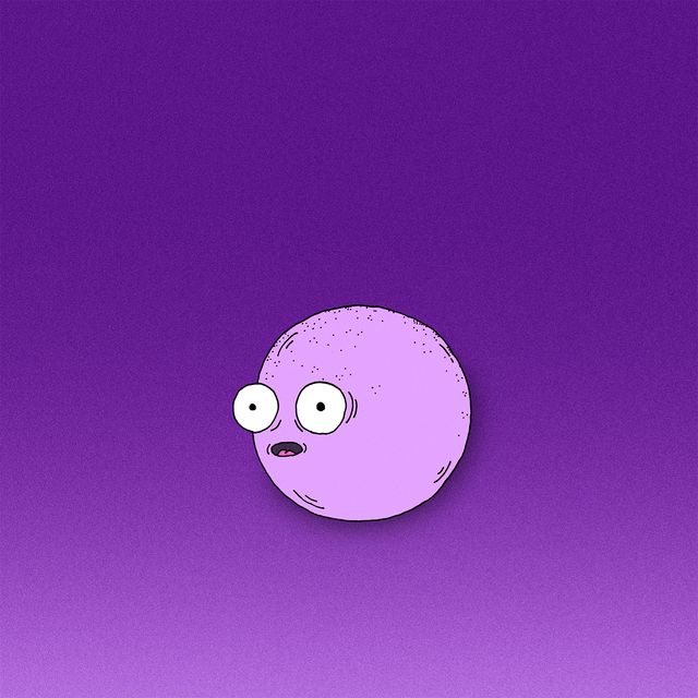 ZITZ II