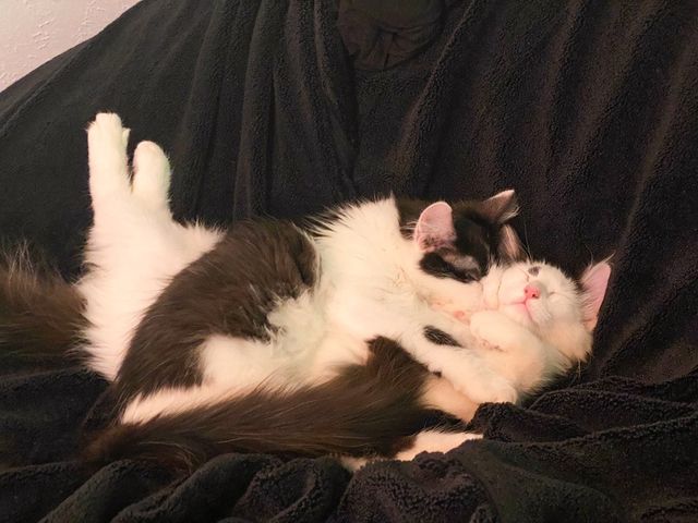 Inseparable