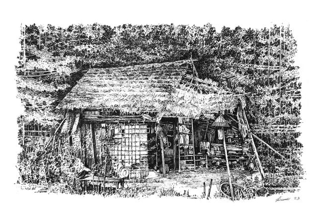 Overgrown house #9