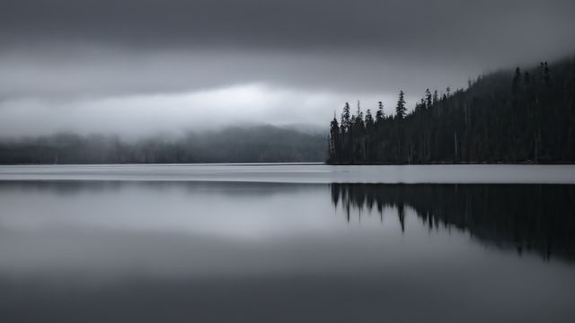 Stillness