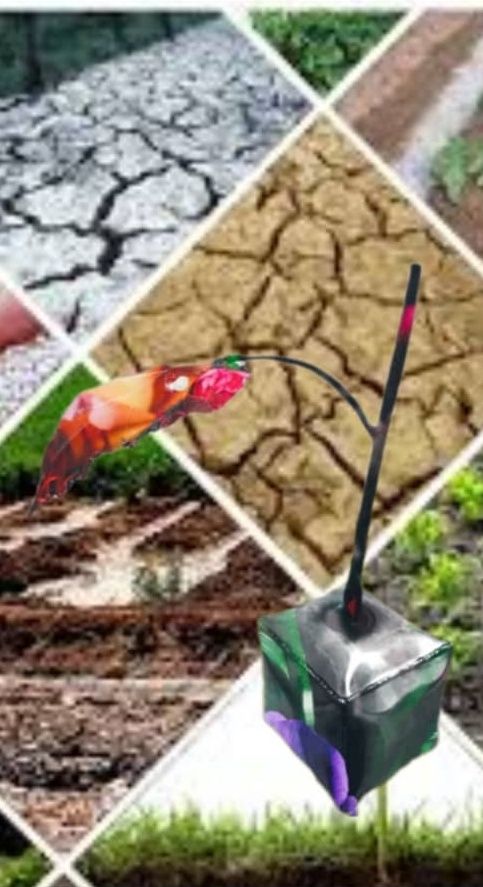 Save the Soil with Art