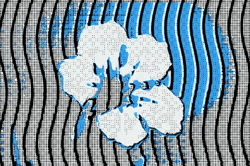 GM 3.1