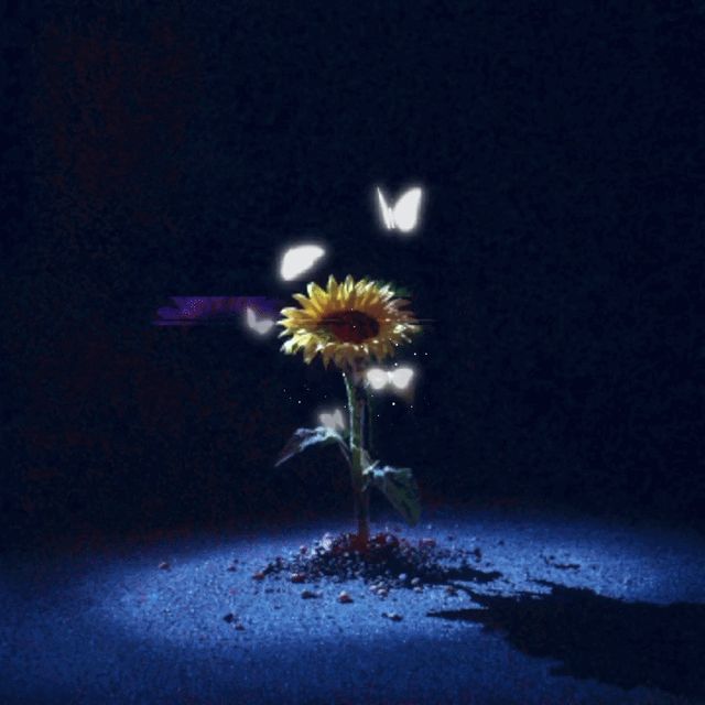 Flower005