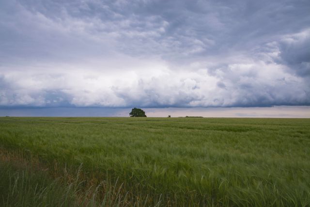 Moody, Dramatic Cloudscape