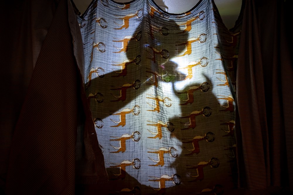 Shadows