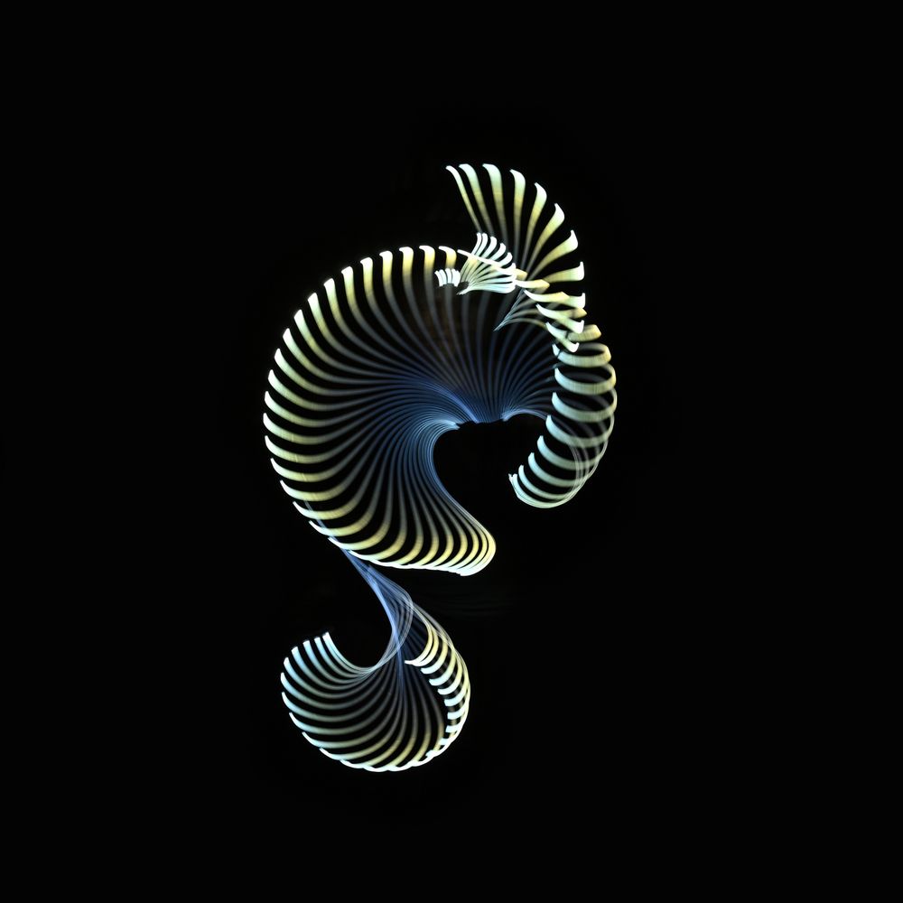KELP LIGHT 