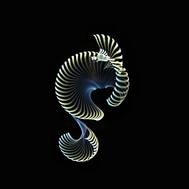 KELP LIGHT 