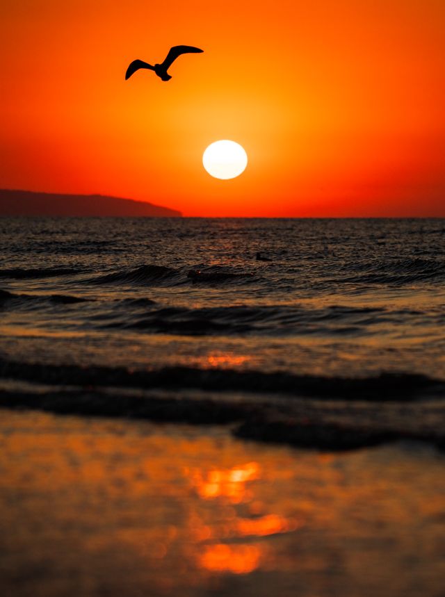Rising with the Sun