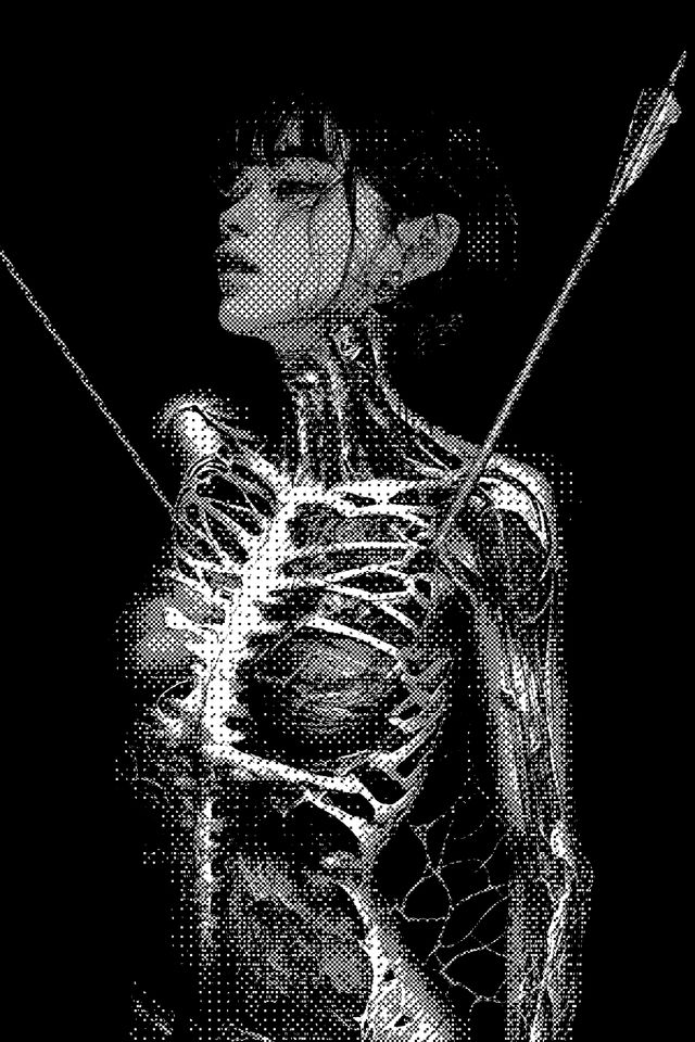 The black bird