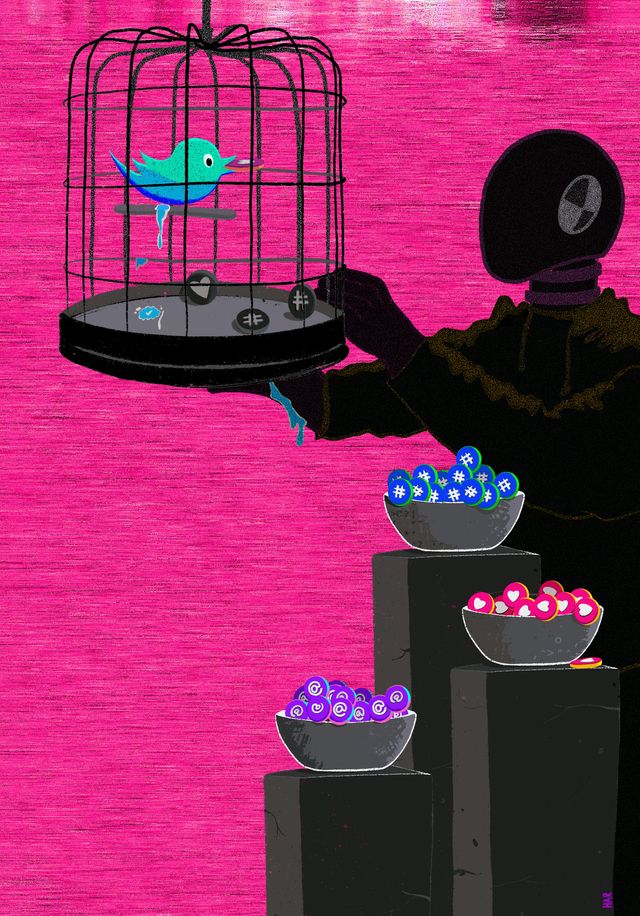 Bird Feed