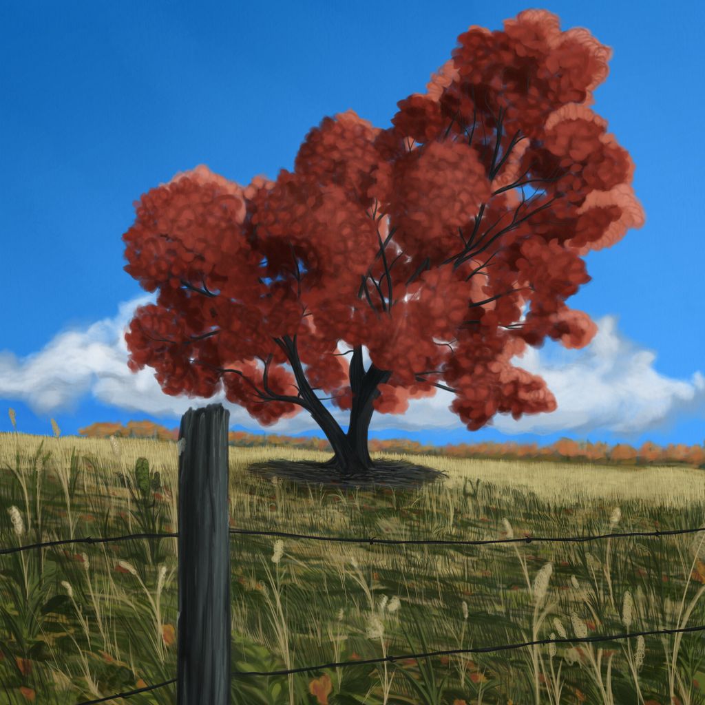 Life Impression 37