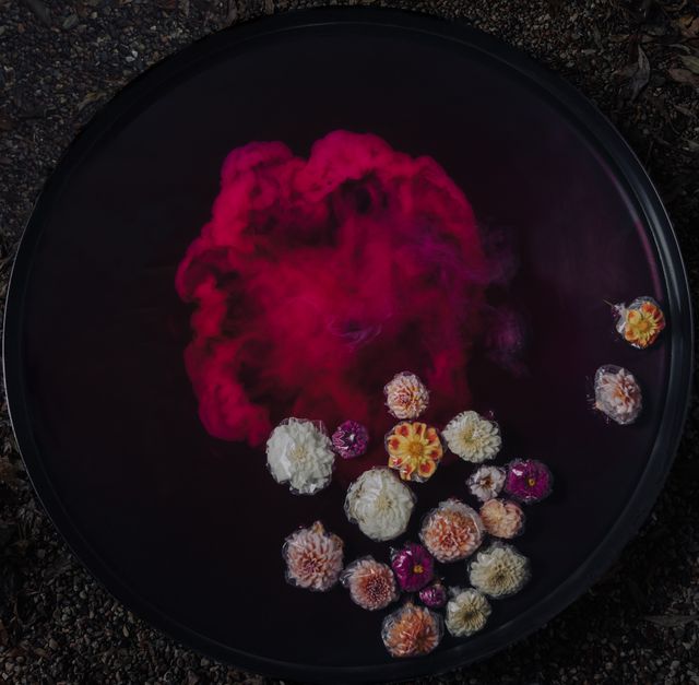 Preserved Beauty II