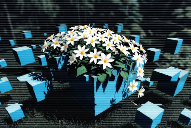 Live Outside the Box 46- Calytrix tetragona #4