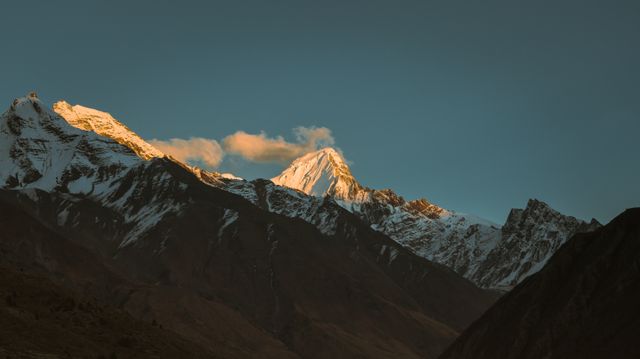 The Last Light