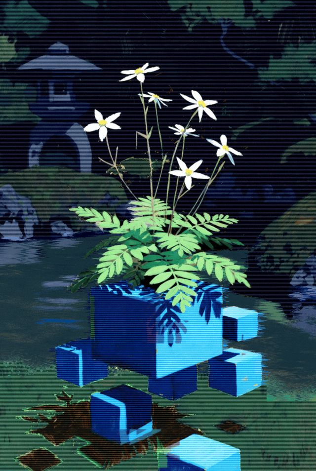 Live Outside the Box 42- Calytrix tetragona #3