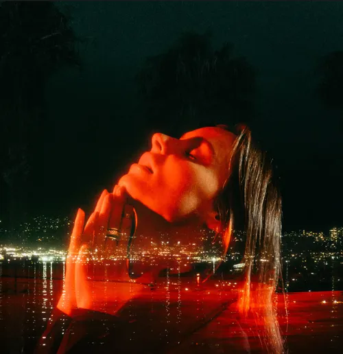 Palm Dreams