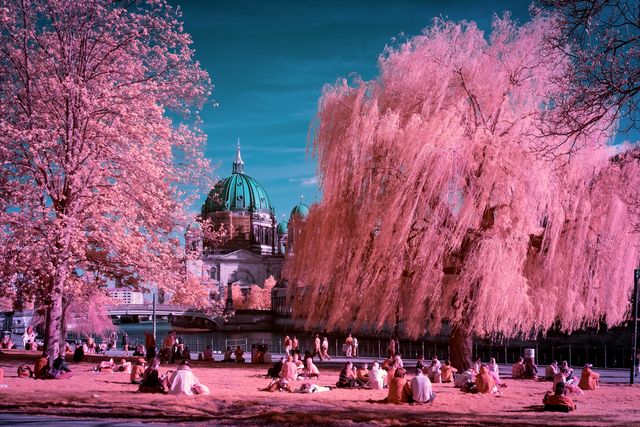 Pink Silence at Berliner Dom
