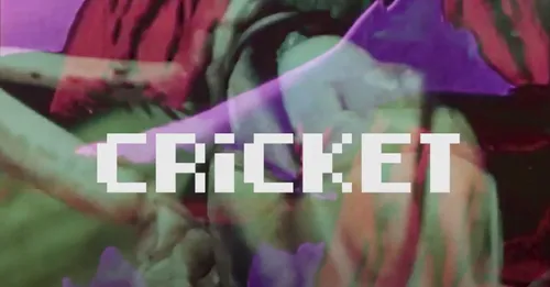 CRICKET MUSIC VIDEO (collab with VacheMorte)