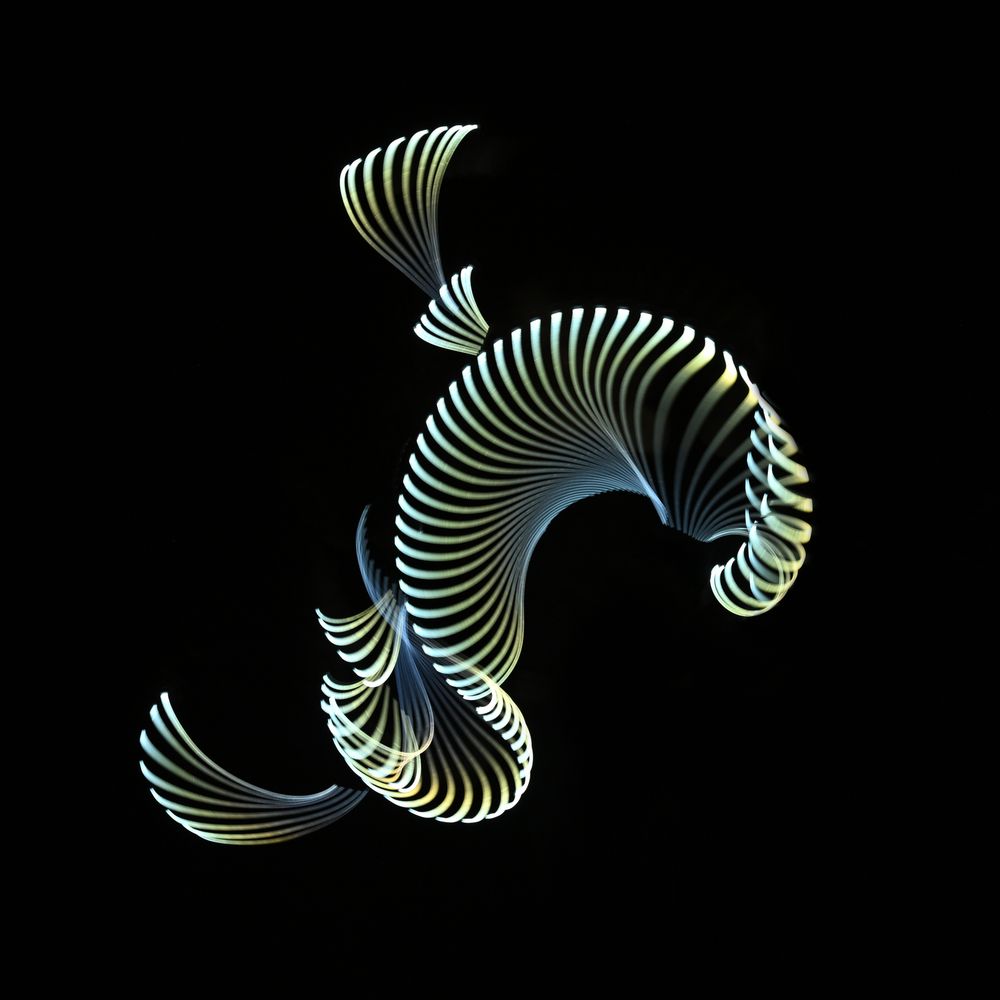 GLASSFISH
