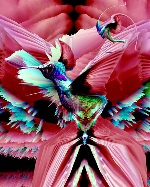 Yes, it's that hummingbird again, but me!