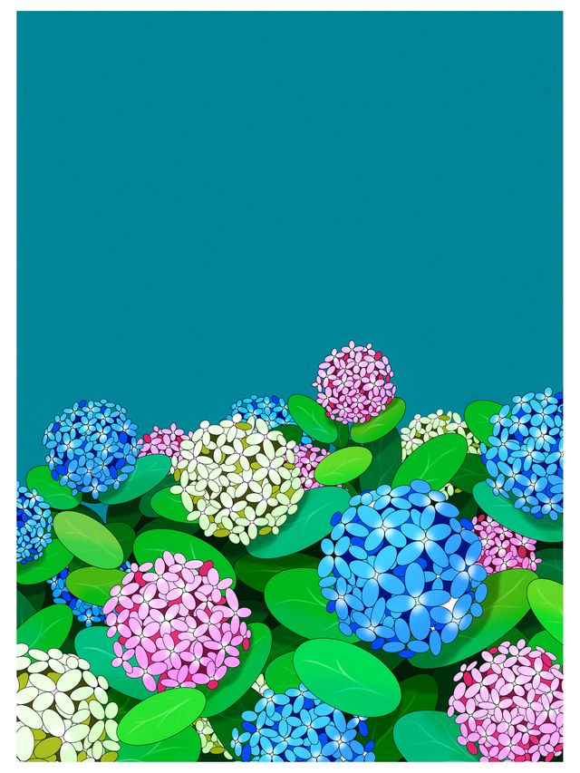 Garden of Shape