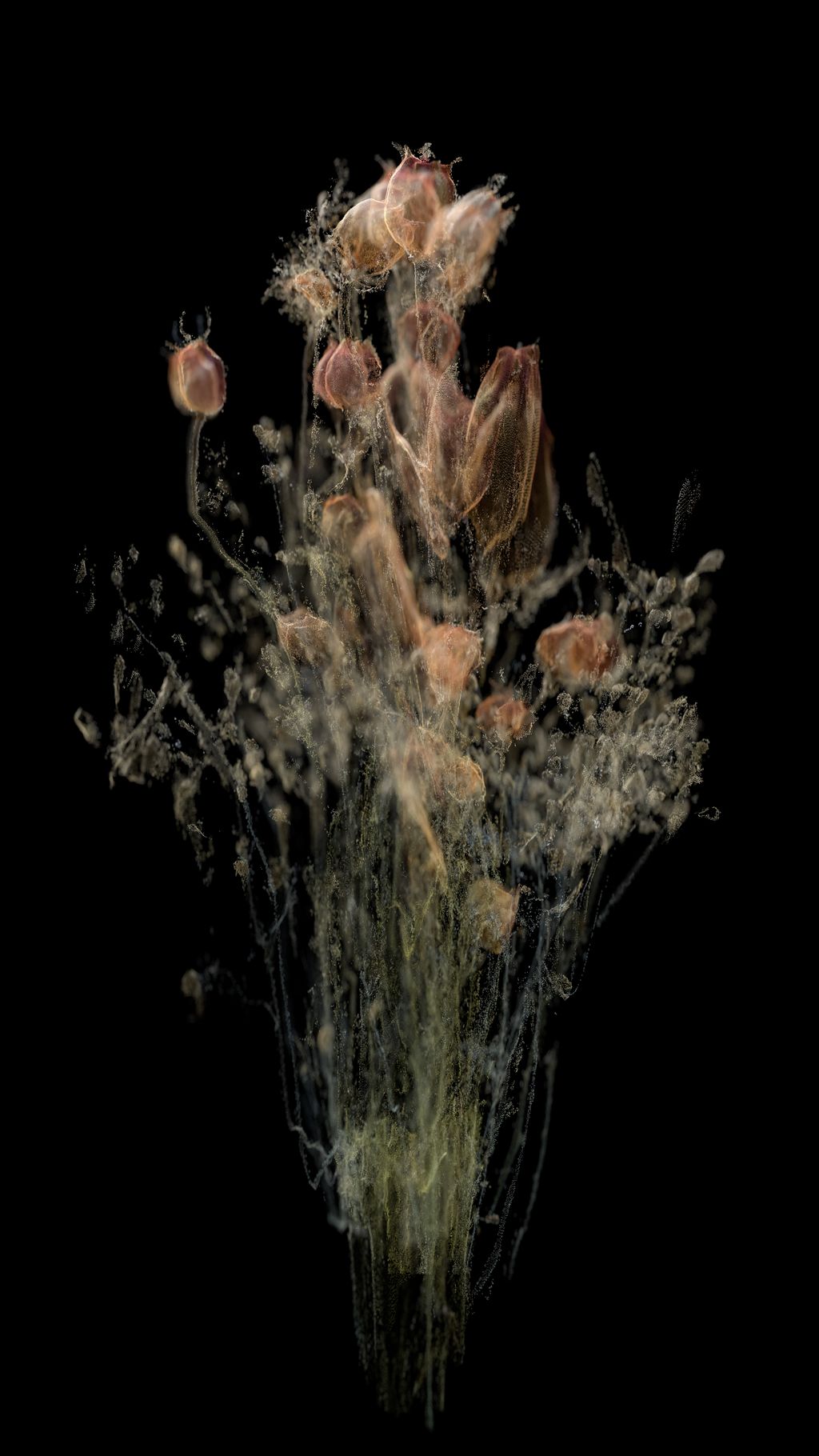 Cloudburst #10