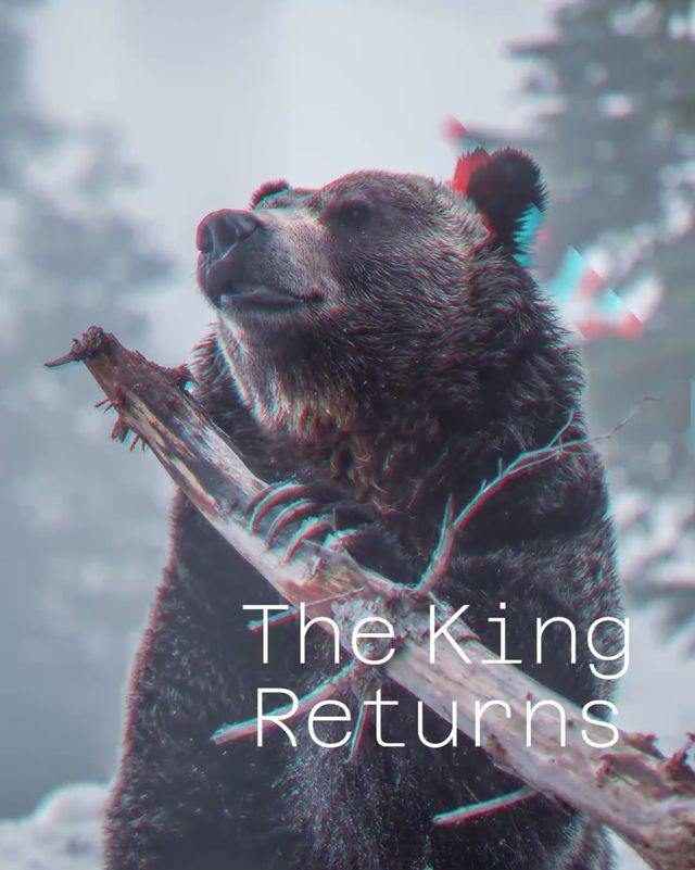 The King Returns 