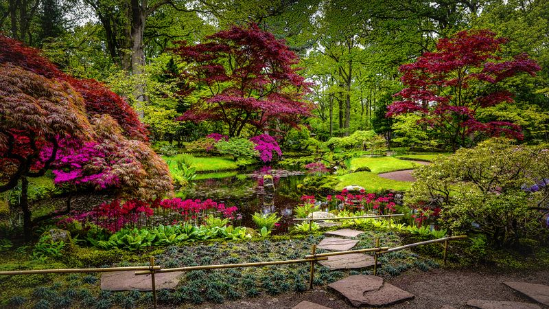 Japanese garden
