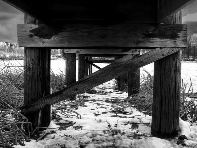 Relics of Winter