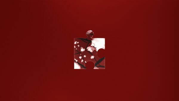 Fragment 18